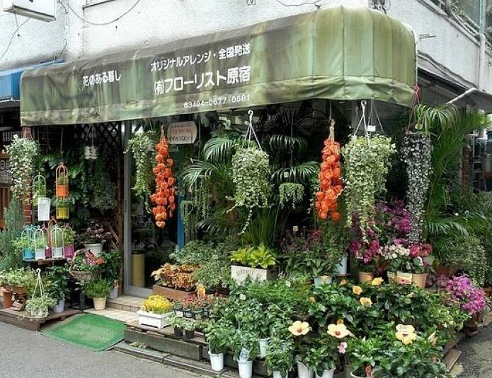 90后美女在閣樓開(kāi)店鋪！房間太破，奇思妙想用各種植物來(lái)掩蓋